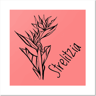 Strelitzia flower Posters and Art